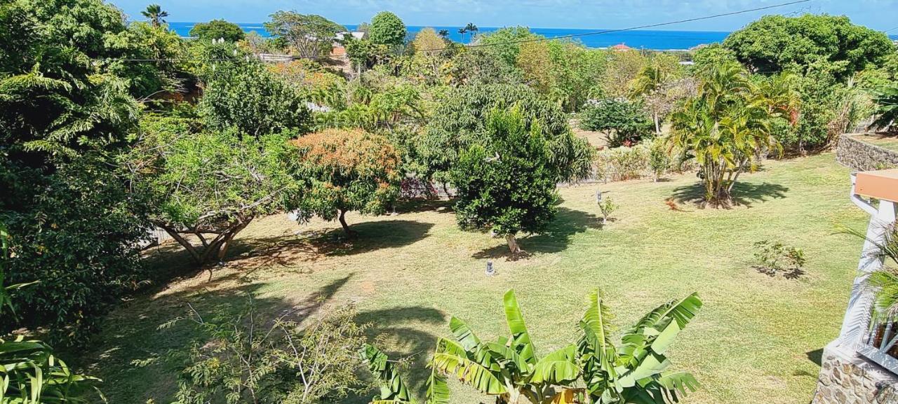 Bed and Breakfast Les Hauts Du Cap Le François Zewnętrze zdjęcie